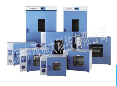 立式鼓风干燥箱DHG-9620A