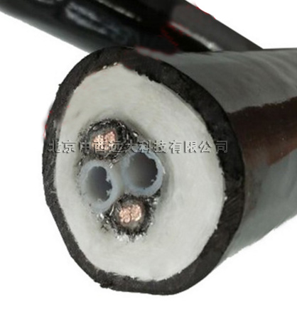 伴热管线BTT1-S300