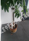 土壤剖面温湿度测量仪/剖面温湿度测量仪(4路湿度)（中西器材）XE48/GSU01