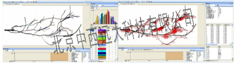 根系分析系统/植物根系可分析测量仪/根系分析仪(器材）LB06/M309349