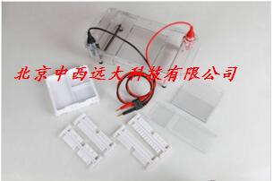 多功能水平电泳槽XJX23-HE-120