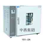 电热恒温鼓风干燥箱KW01-101-2AB