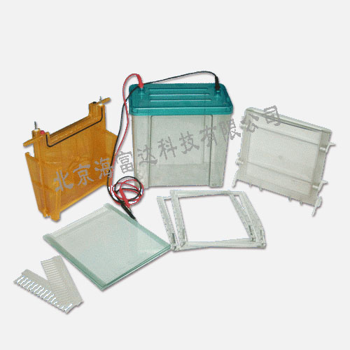 双垂直电泳仪(大号)BL61-DYCZ-24F