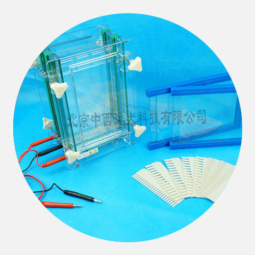 单板/双板夹芯式垂直电泳仪(大号)BL61-DYCZ-28D