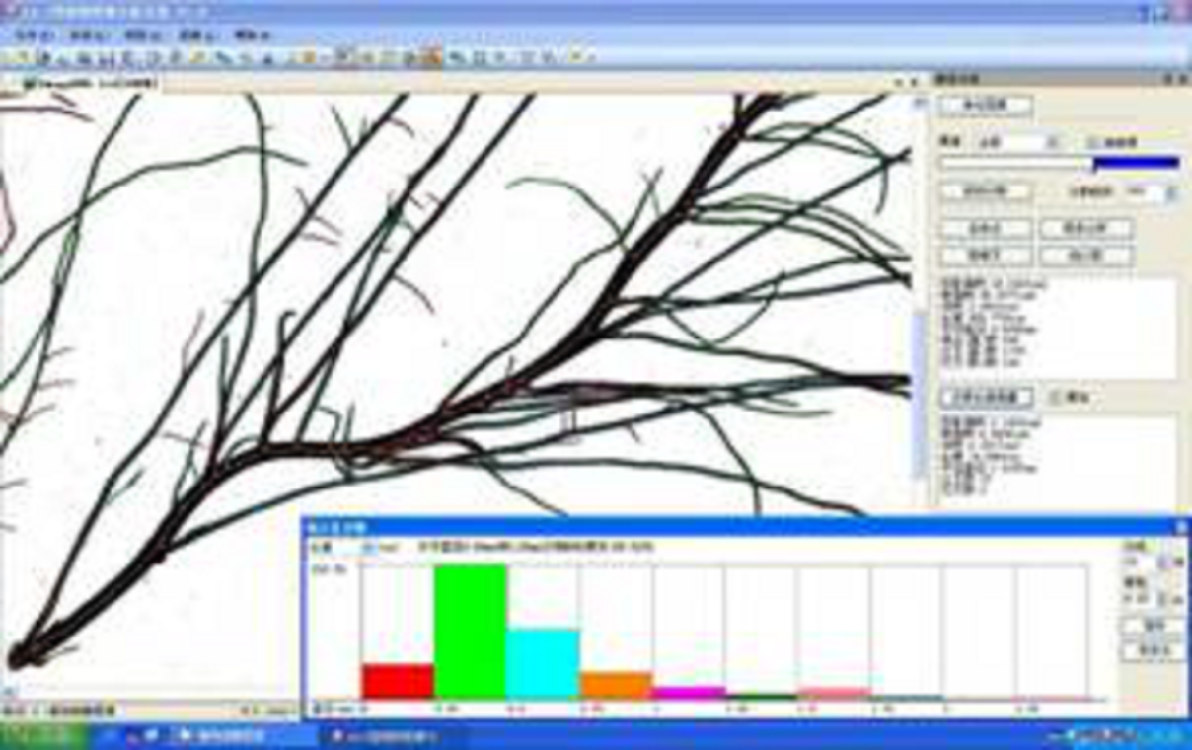 WinRHIZO根系分析系统（含爱普生V850扫描仪一台，根系分析软件一套，根系扫描盒及背景板一套）不带电脑英文版winrhizo