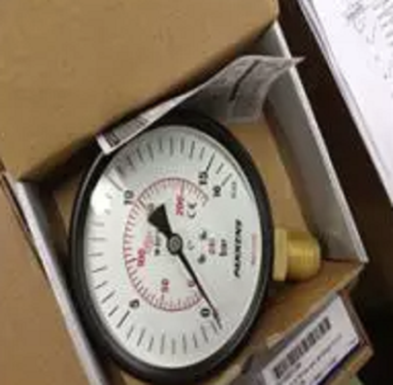 土耳其PAKKENS温度计（Ø100mm，0-120°，带毛细管）PAKKENS