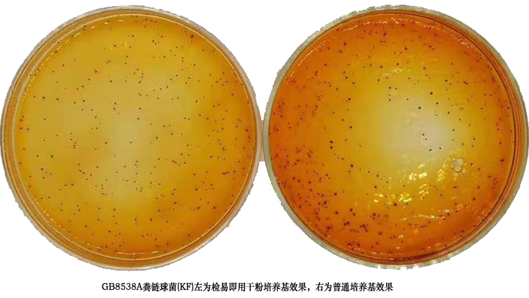 KF(粪链球菌)KM1-GB8538A