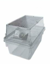 小鼠透明运输笼/裸鼠笼盒/小鼠笼盒JV222-CP5M