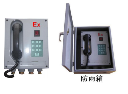 电话扩音站与M234866属于一套系统BD73-HWB-1