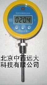 温度计GG81-WSS-100-B