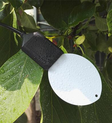 叶面温湿度传感器XD69-LWS-10