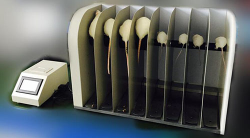 大小鼠转棒式疲劳仪BD08-YLS-31B