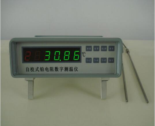 自校式铂电阻数字测温仪/测温仪 -60~300℃ 单路XL36-RCY-3D