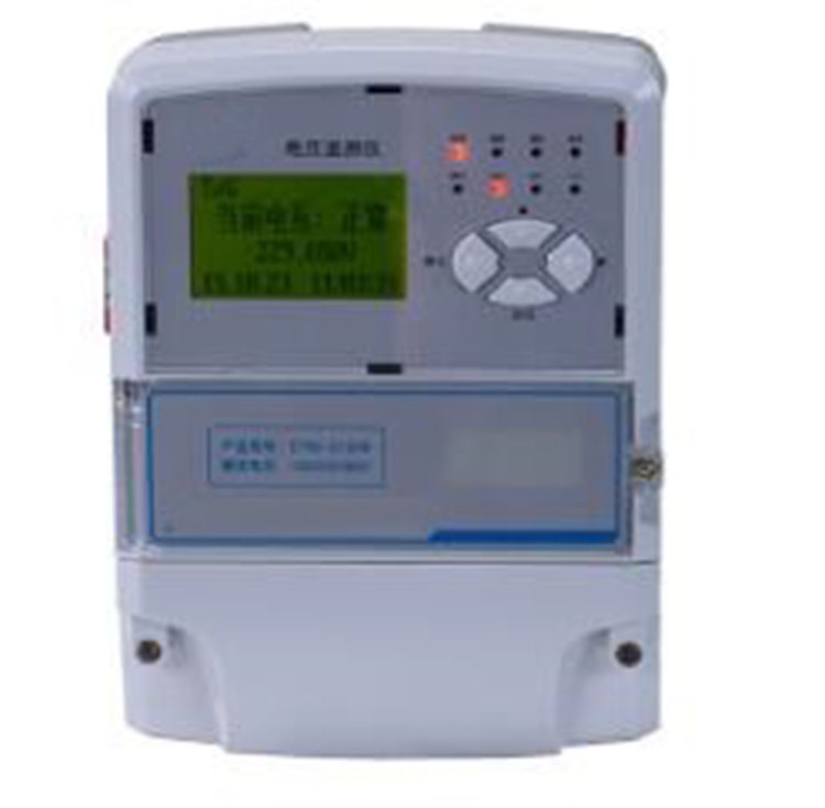 电压监测仪YL12-DT60