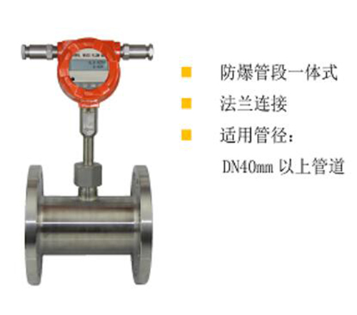 防爆型管段式热式气体质量流量计（DN100）CP58-HGF-3001F