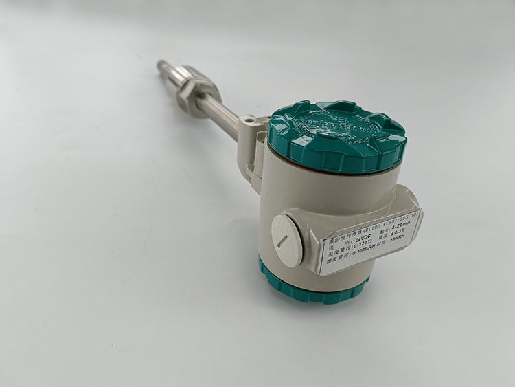 管道压缩空气温湿度检测仪 含仪表 WL100-WLHT-2S-300