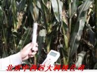 手持温湿度记录仪KK01-ECA-SC02