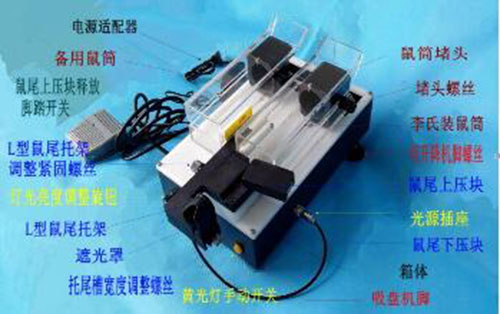 静脉可视大鼠尾注固定器LM12-YLS-Q10G