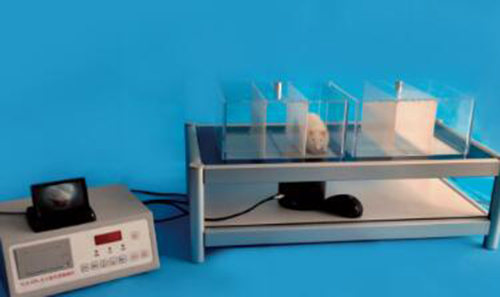 大小鼠足底触痛仪SH11-YLS-22A