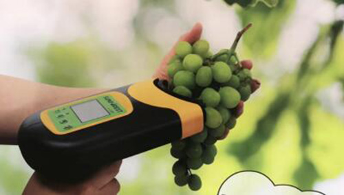 水果糖度无损检测仪/苹果品质检测仪BD02-H100F