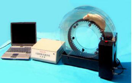 大鼠转轮式跑步机/大鼠转轮式疲劳仪（五通道）JLC2-YLS-15A