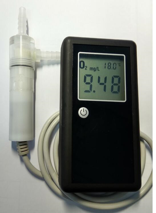 便携式溶解氧测氧仪/气体测氧仪SM10-OX-12BCV