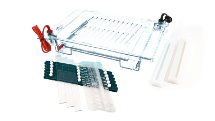 琼脂糖水平电泳仪(大号)S9YY-DYCP-32C