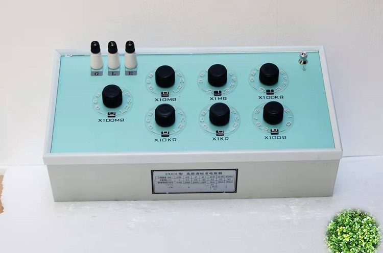 绝缘电阻表标准电阻器/XF1-ZX80C