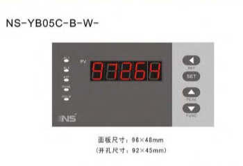 显示控制仪/NS 显示仪TM011-NS-YB05C-B-W-2-1-1-D