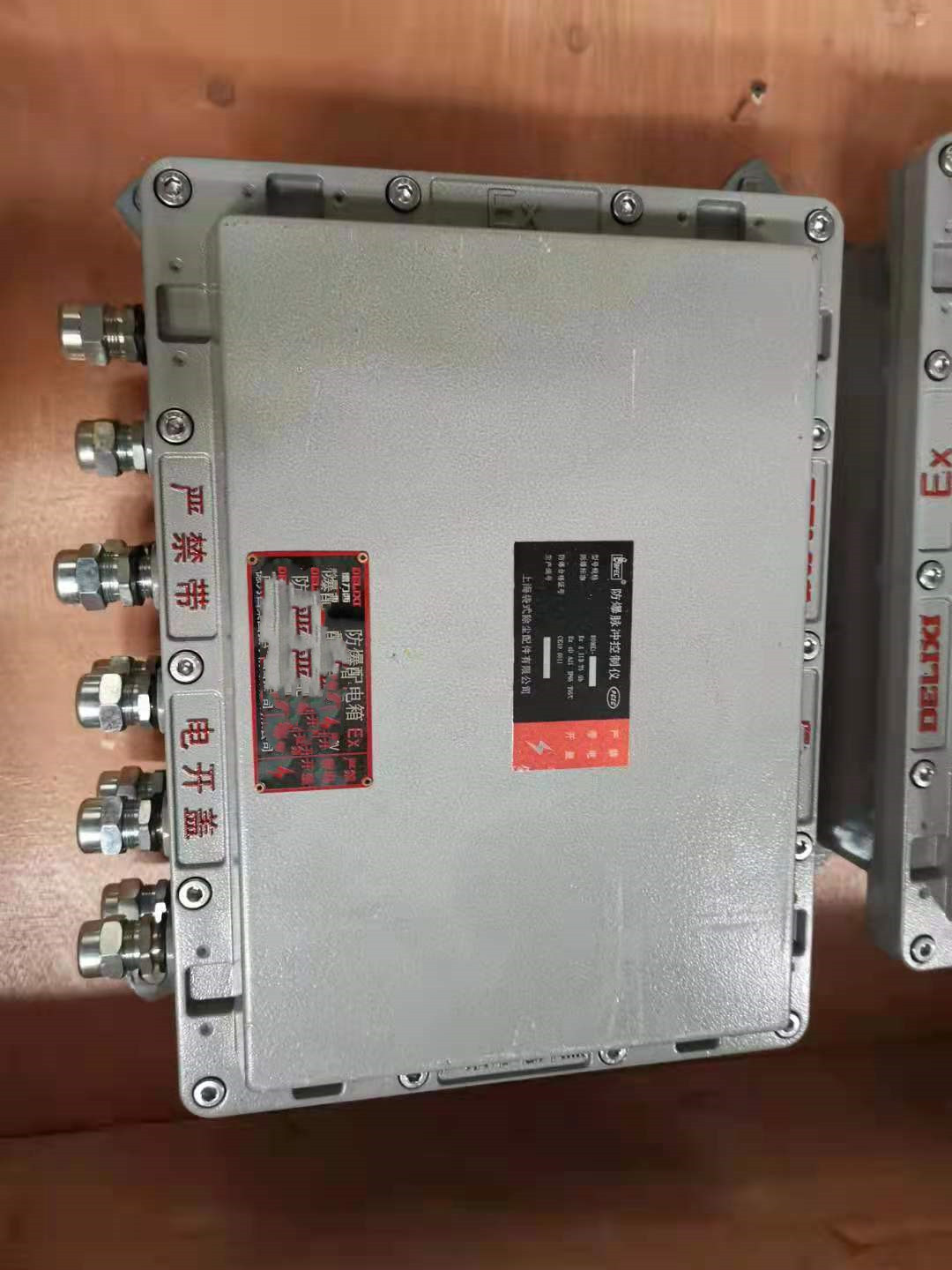 脉冲喷吹控制仪 SE222-DMK-6CSD-20 