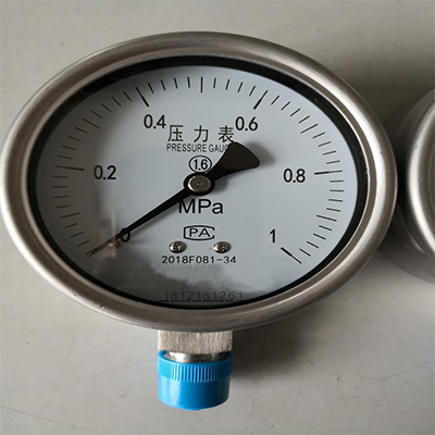 氮气表ND12-YBF-60