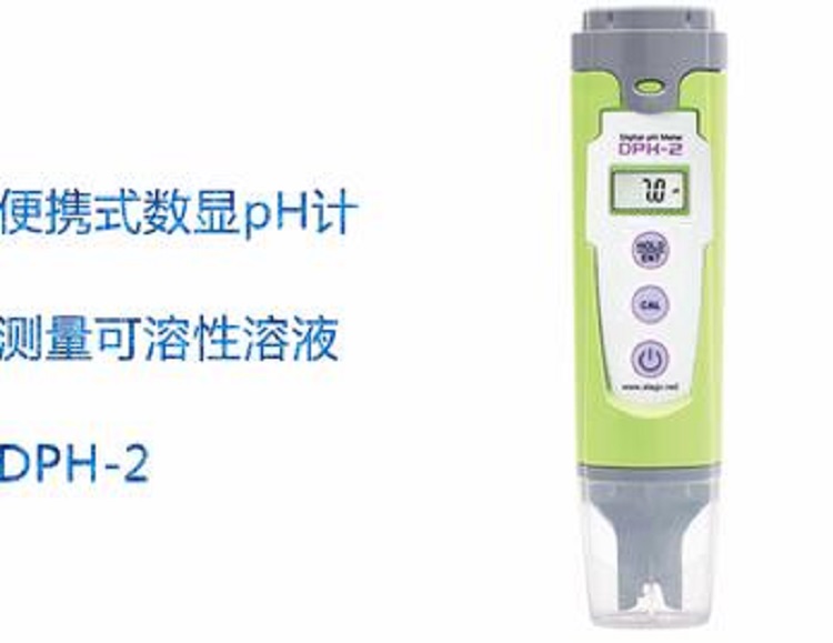 數(shù)字式便攜PH計(jì)DGGD-DPH-2