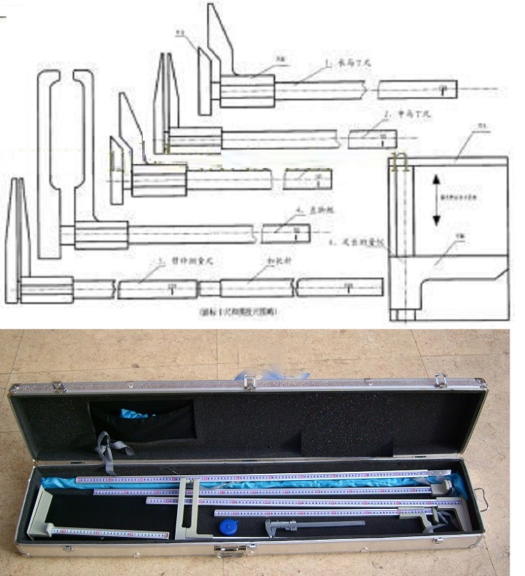 全套形态测量尺/人体形态测量尺M133905