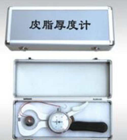 皮脂厚度计/皮脂计/皮脂测量仪YD02-YP-01