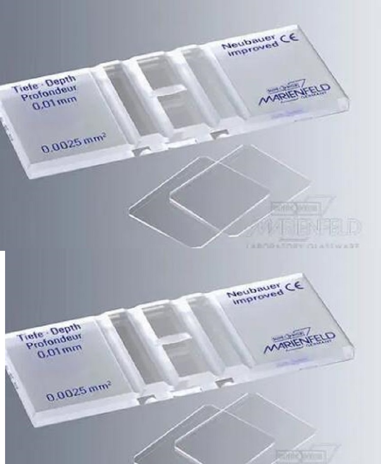 Marienfeld 细菌计数板0642110