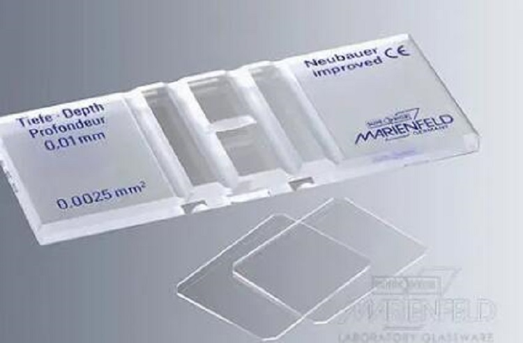 Marienfeld 细菌计数板0642110