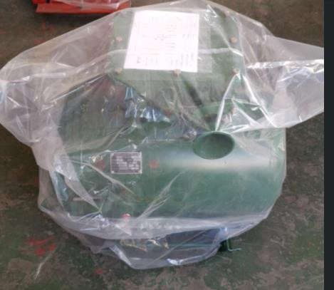 矿用隔爆型照明信号综合保护装置/照明信号装置ZXYD/ZBZ-4.0