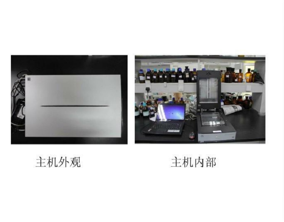 WinRHIZO根系分析系统（含爱普生V850扫描仪一台，根系分析软件一套，根系扫描盒及背景板一套）不带电脑英文版winrhizo