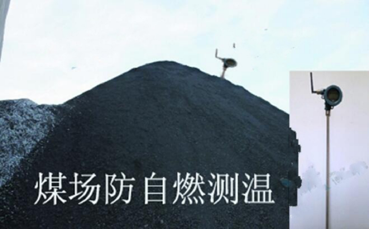煤堆温度远程监控系统/煤堆测温仪（测温探头3米）TX-3D