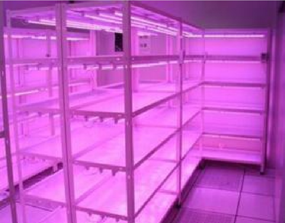 培养架/组培架（中西器材）M145648-LBPYJ-4