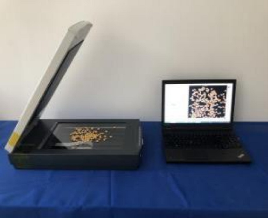 大米加工精度测定仪（器材）LBJD-A