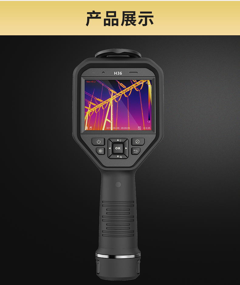 手持测温仪/测温仪H36HM-TPH36-10VF/W