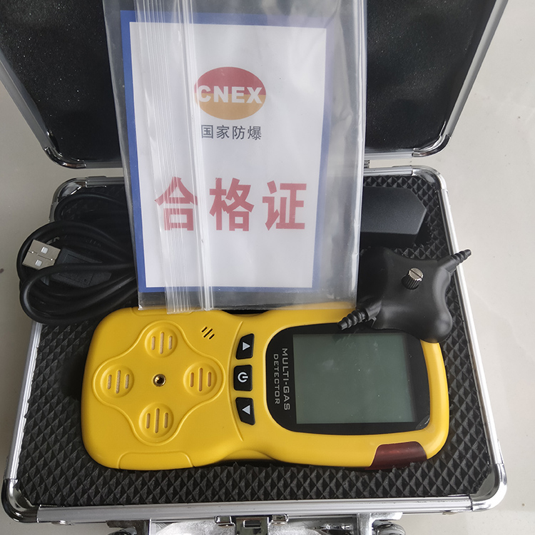 多参数气体检测仪CD4