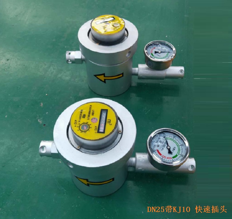 高压注水流量计/高压流量水表 DN25（）M241691-GGS-E