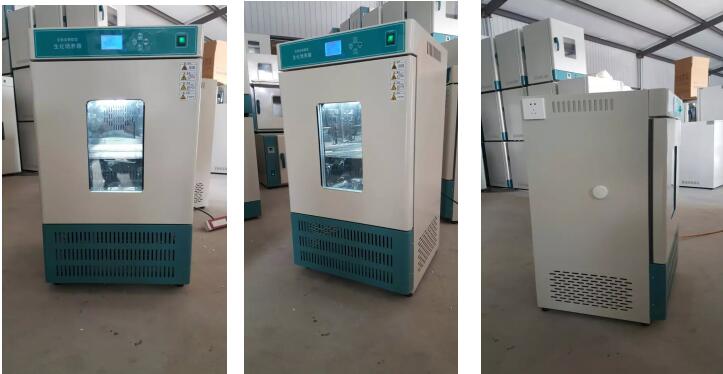 直读BOD测定仪 中西器材 CH100-CY-2