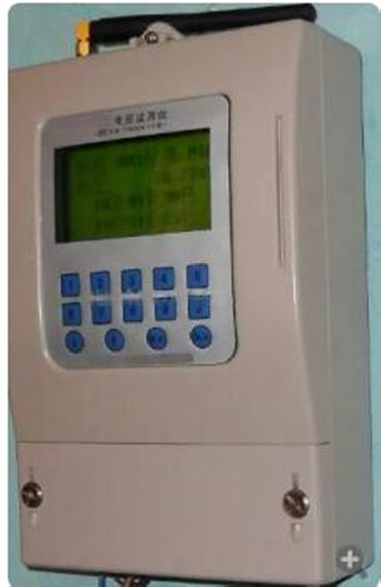 电压监测仪RP033-DT5-100/G