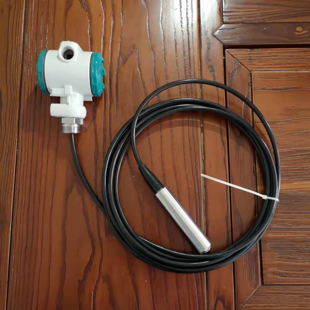 压力式水位计/投入式液位计（316材质5米线）国产LD31-S111-N-LL