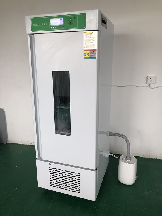 智能人工气候箱/种子发芽箱（150L）LRG-150B