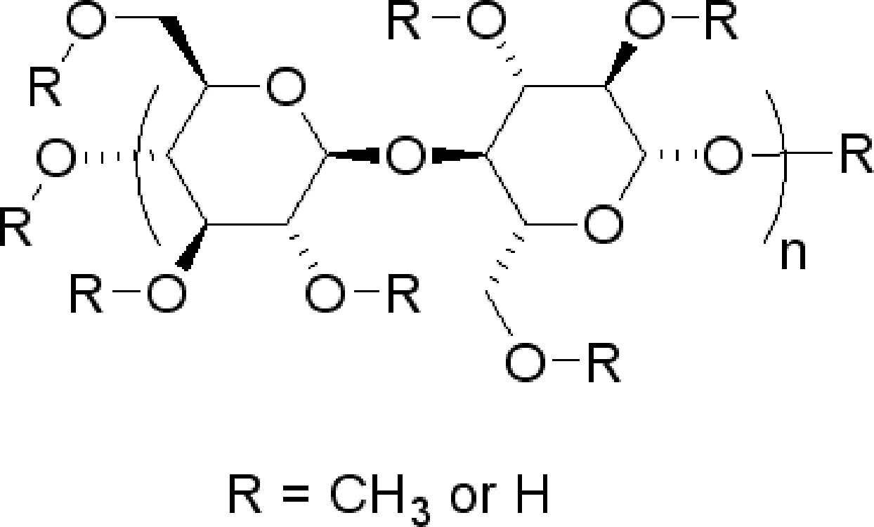 甲基纤维素（生物级）C6333-1kg