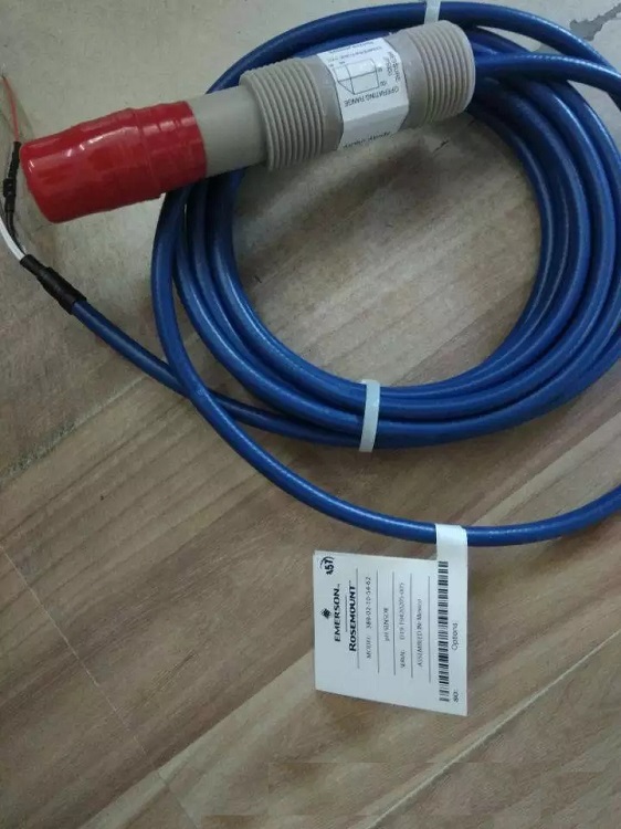 罗斯蒙特rosemount PH电极389-02-10-54-62